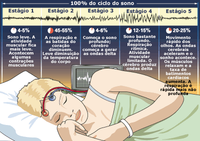 estagios-do-sono Sono: O Mistério Que a Ciência Não Desvenda