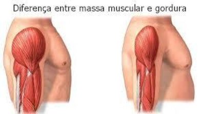Dicas para aumentar a massa magra Treino para ganhar massa muscular