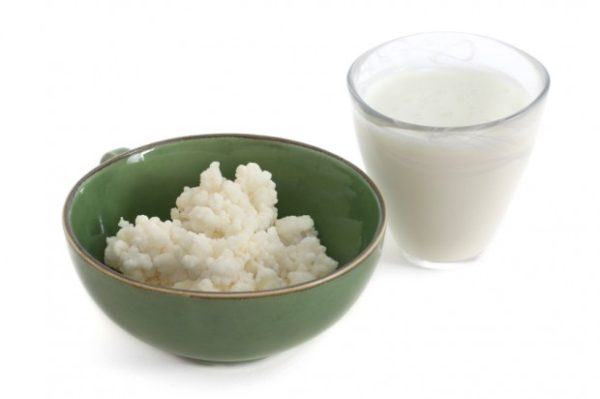 Kefir: fácil de preparar e com bons resultados para seu organismo! Benefícios e facilidade do preparo do Kefir