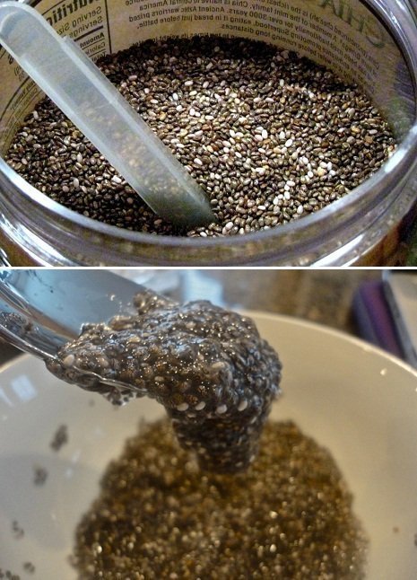 Semente de chia: nutrição saudável completa e emagrecimento