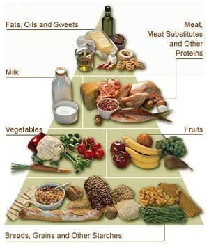 Alimentação balanceada