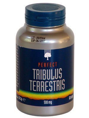 Produtos feitos com Tribulus Terrestris