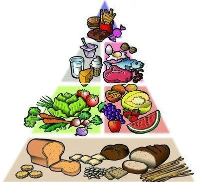 Nutricionista e a saúde