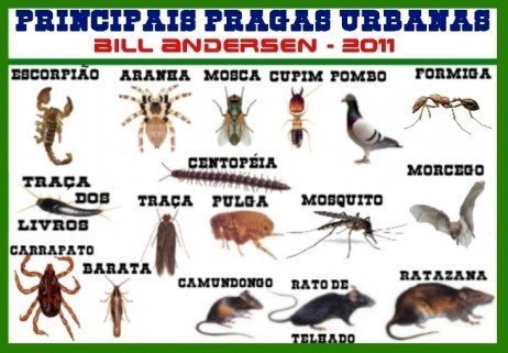 Pragas urbanas e a dedetização