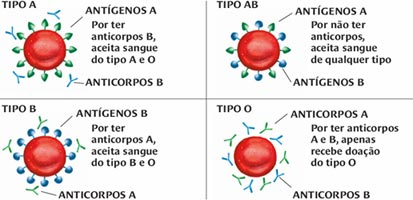 Tipos sanguíneos