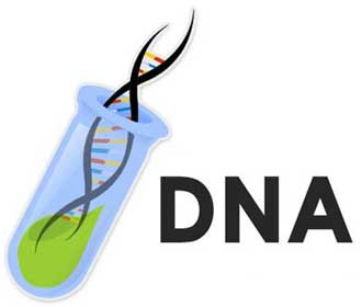 Exame de DNA gratuito