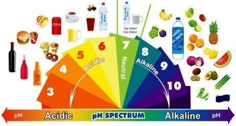Como fazer um cardápio de dieta alcalina