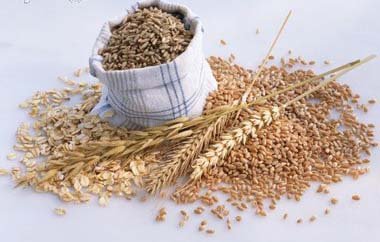Todos os benefícios do arroz integral