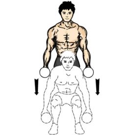 Melhores exercícios para malhar braços com halteres