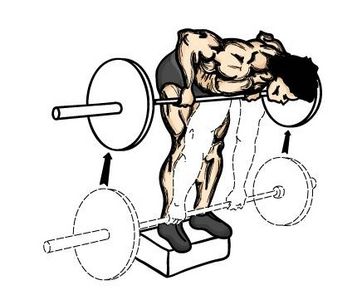 Melhores exercícios para malhar braços