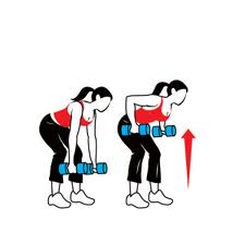 Melhores exercícios para malhar braços