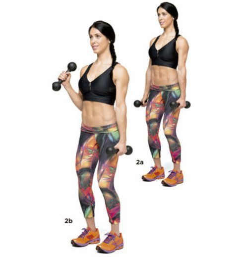 Dicas de exercícios para malhar o antebraço