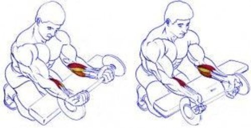 Dicas de exercícios para malhar o antebraço