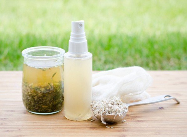 Afastando os mosquitos com receitas naturais