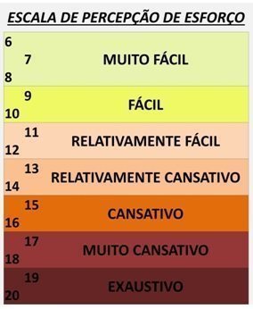 Como funciona a escala de borg?