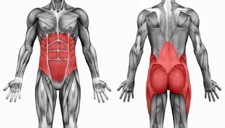 Quais os músculos do core?