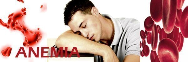 Cuidando naturalmente da anemia
