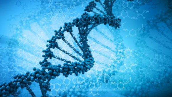 Teste de DNA e preço do teste
