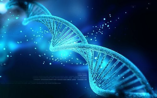 Mapa de genes