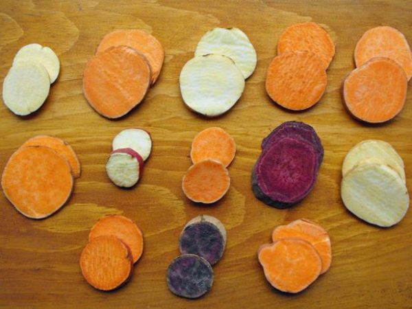 Batatas doce