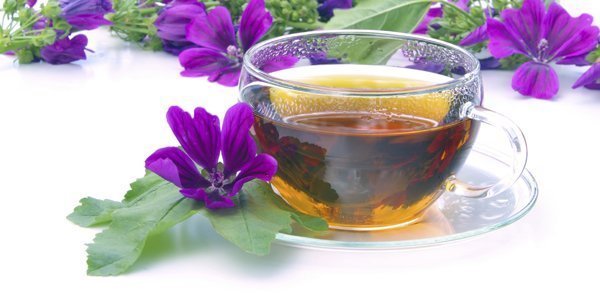 Chá de malva