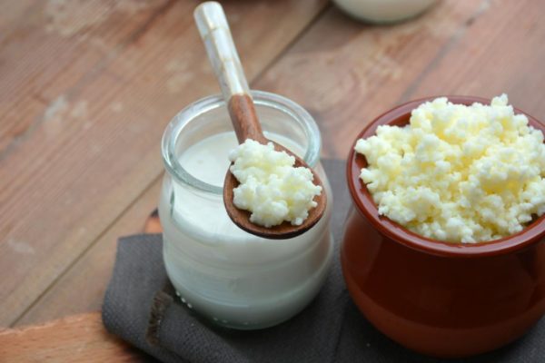 Kefir e suas utilidades