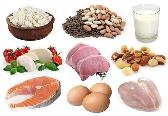 Fontes de proteína