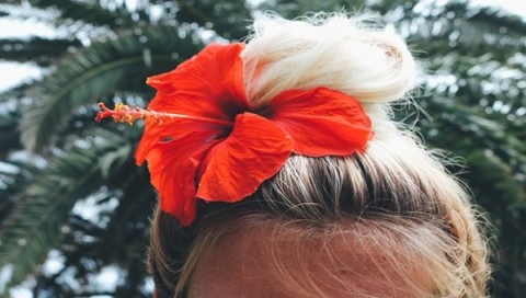 Hibisco para o cabelo, é bom? - Saúde Melhor