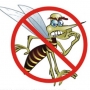 Inseticida natural contra o mosquito da dengue!