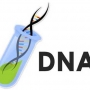 Exame de DNA gratuito! Onde fazer?