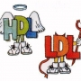 Clesterol HDL e LDL alto ou baixo! Como aumentar ou diminuir!