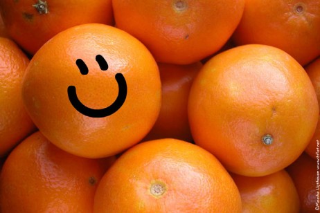 Benefícios da laranja na dieta