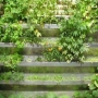 Como fazer uma horta vertical caseira?
