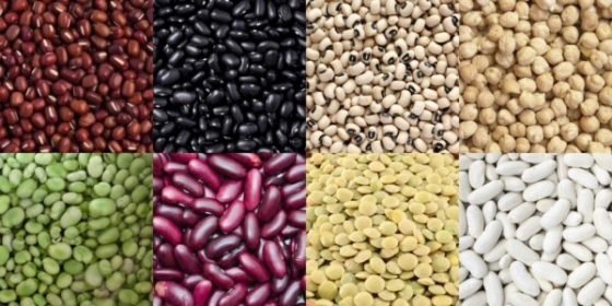 Tipos de feijão! Qual é mais nutritivo e com mais ferro e vitaminas ...