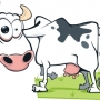 Doença da vaca louca – Sintomas e tratamento!