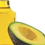 Benefícios do óleo de abacate para sua saúde!