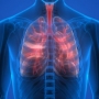 Fibrose cística: sintomas, diagnóstico e tratamento