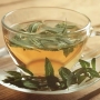 6 benefícios do chá de sálvia